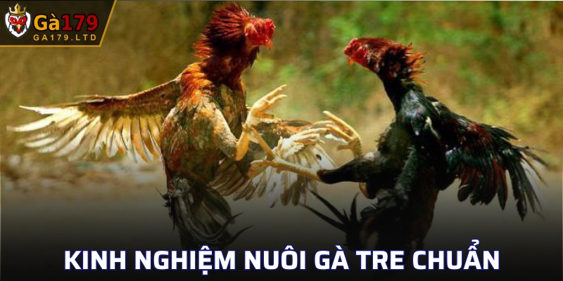 Bật mí một số kinh nghiệm chăm sóc chiến kê hiệu quả
