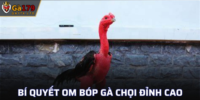 Bí quyết om bóp gà cho người mới bắt đầu