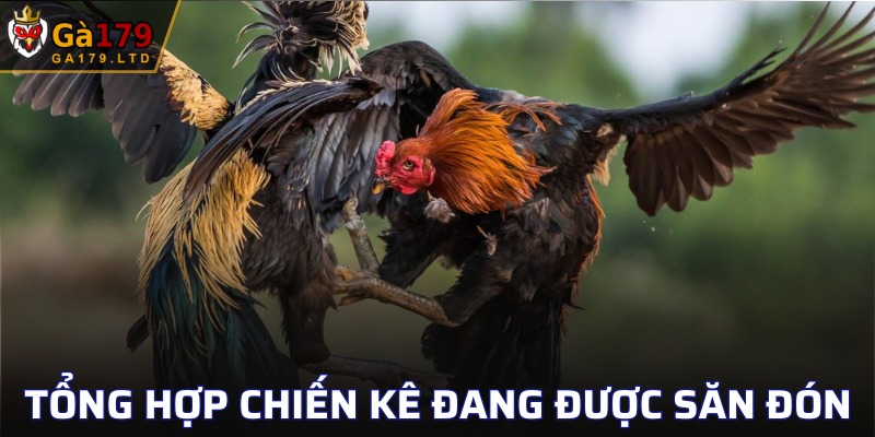 Các chiến kê phổ biến nhất hiện nay 2025
