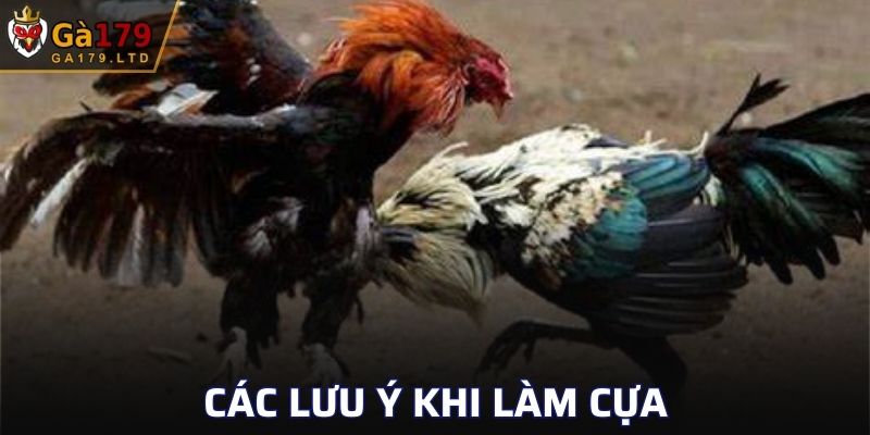 Các lưu ý khi thực hiện