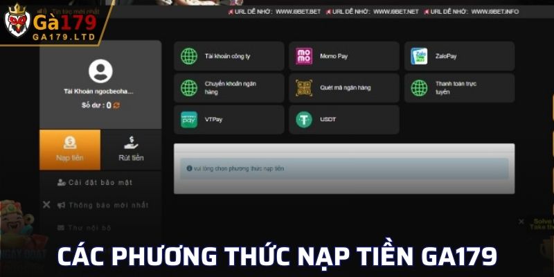 Các phương thức được hỗ trợ nạp tiền GA179