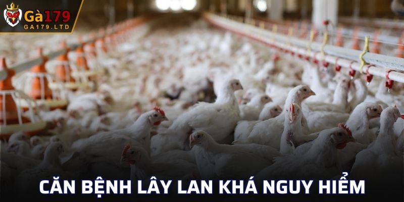 Căn bệnh lây lan khá nguy hiểm