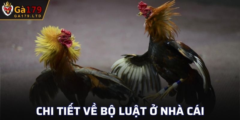 Chi tiết về bộ luật ở nhà cái