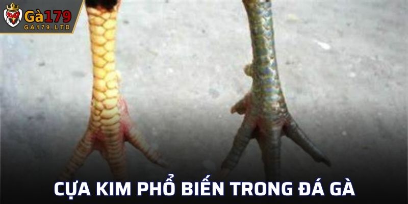 Cựa Kim