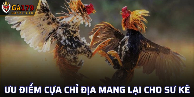 Đặc điểm nổi bật của dòng chỉ địa