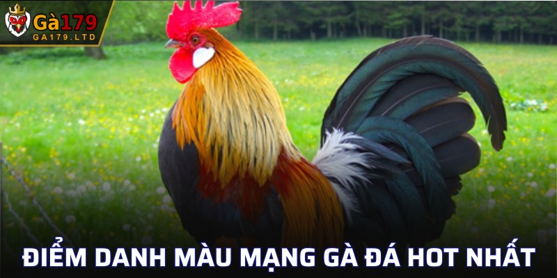 Dòng mạng gà thuộc mệnh Thủy