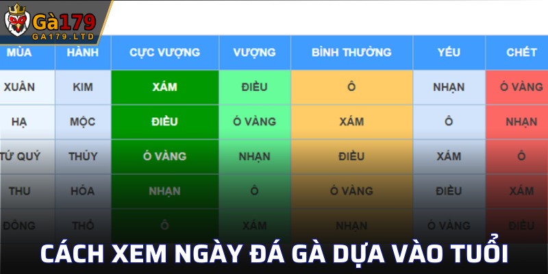 Dựa vào tuổi của chiến kê để xác định thời điểm đá