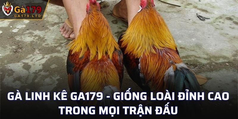 Gà Linh Kê