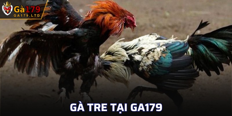 Gà Tre