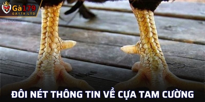 Giải mã khái niệm Cựa Tam Cường