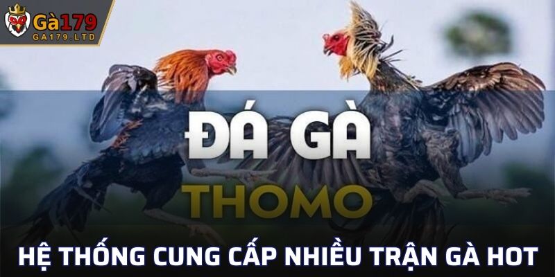Hệ thống cung cấp đa dạng các trận gà hot