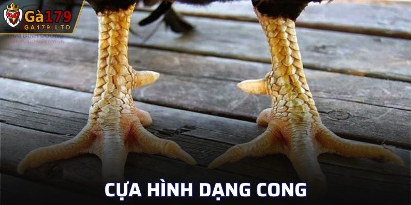 Hình dạng theo kiểu cong