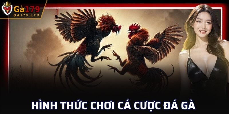 Hình thức chơi cá cược đá gà