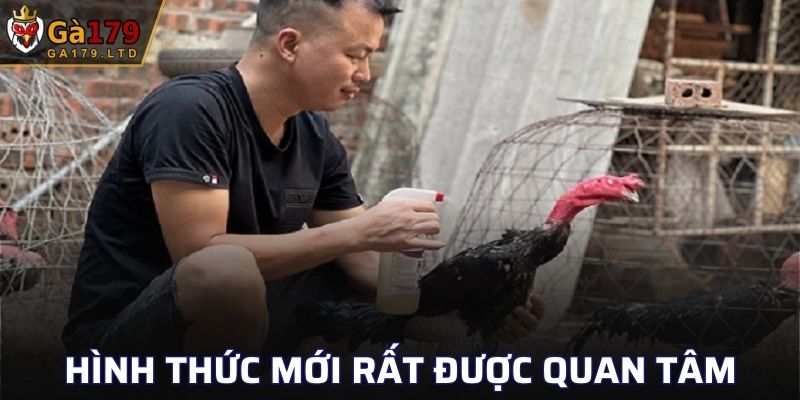 Hình thức mới rất được quan tâm