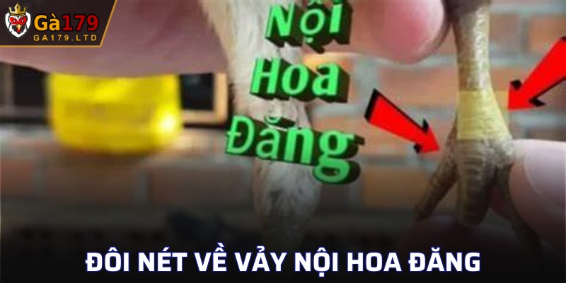 Khám phá siêu phẩm vảy gà chiến hấp dẫn
