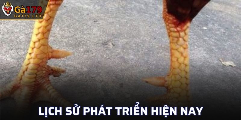 Lịch sử của loại cựa
