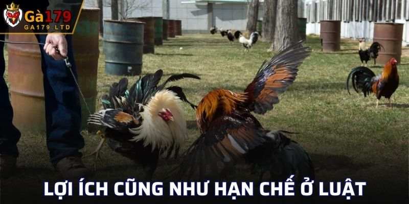 Lợi ích cũng như hạn chế ở luật