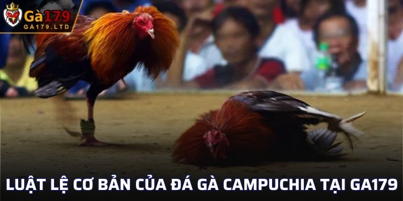 Luật lệ cơ bản của đá gà Campuchia tại GA179
