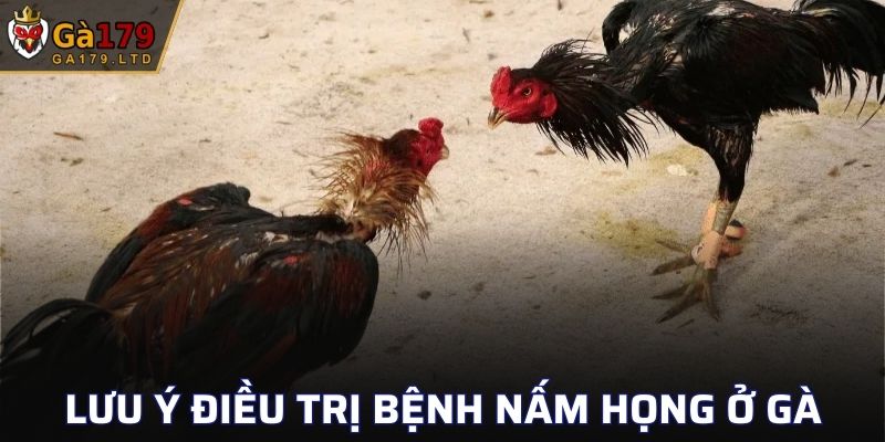 Lưu ý điều trị bệnh nấm họng ở gà