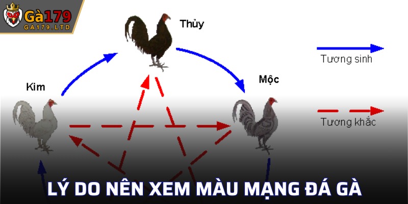 Lý do mà người chơi nên xem màu mạng gà đá