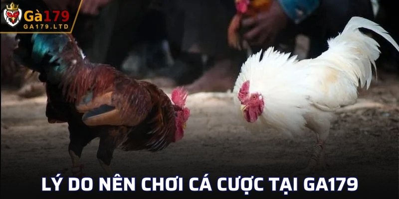 Lý do nên chơi cá cược tại GA179