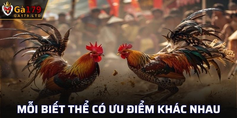 Mỗi biết thể có ưu điểm khác nhau