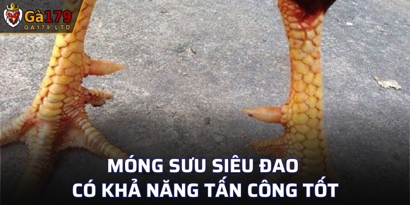 Móng sưu siêu đao có khả năng tấn công tốt