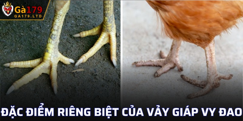 Một số điểm riêng biệt mà Vảy Giáp Vy Đao sở hữu