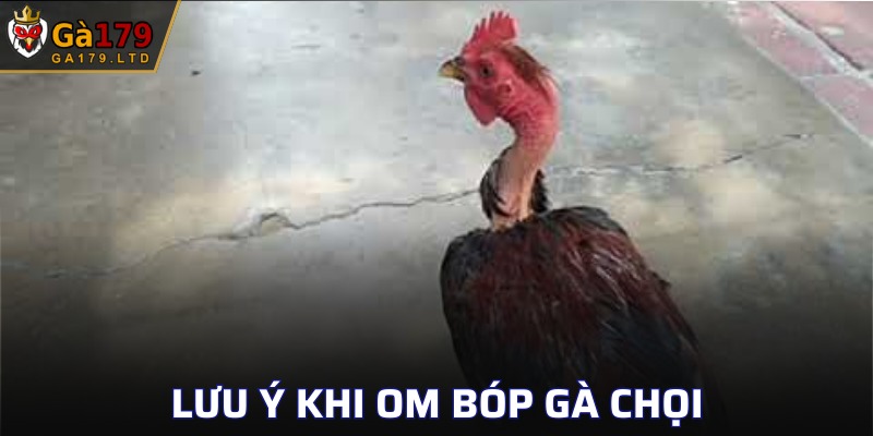 Một số lưu ý om bóp gà cho người mới đầu