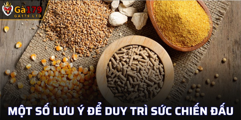 Một vài lưu ý trong duy trì sức khỏe cho các gà đấu