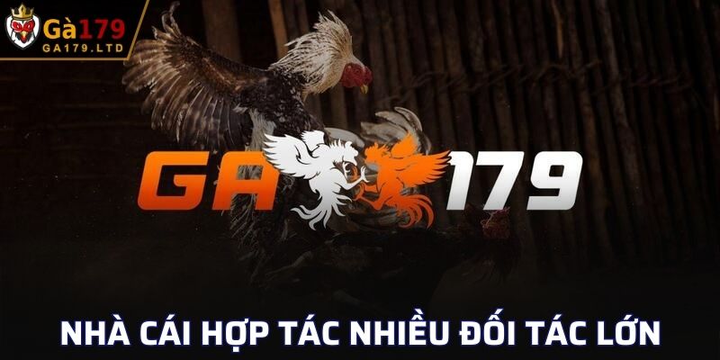 Nhà cái uy tín, hợp tác với nhiều đối tác lớn