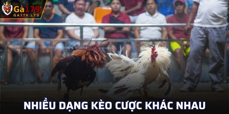 Nhiều dạng kèo cược khác nhau