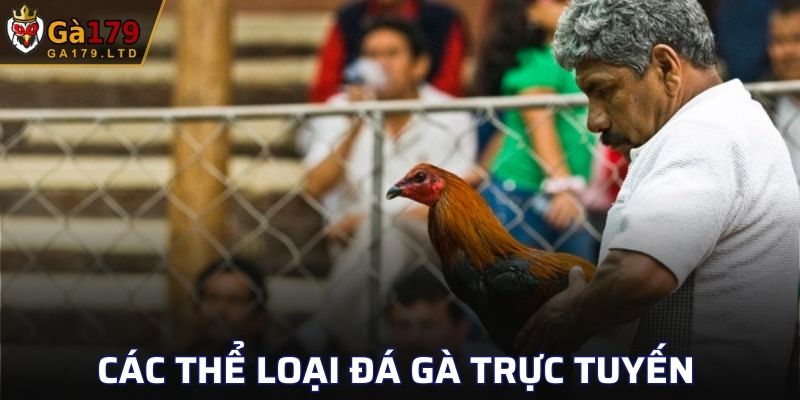 Những hình thức đá gà phổ biến hiện nay tại nhà cái