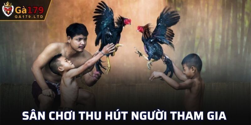 Sân chơi thu hút người tham gia