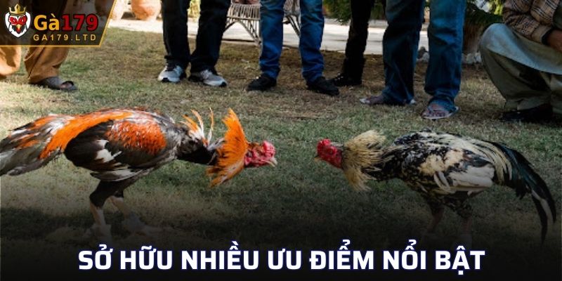 Sở hữu nhiều ưu điểm nổi bật