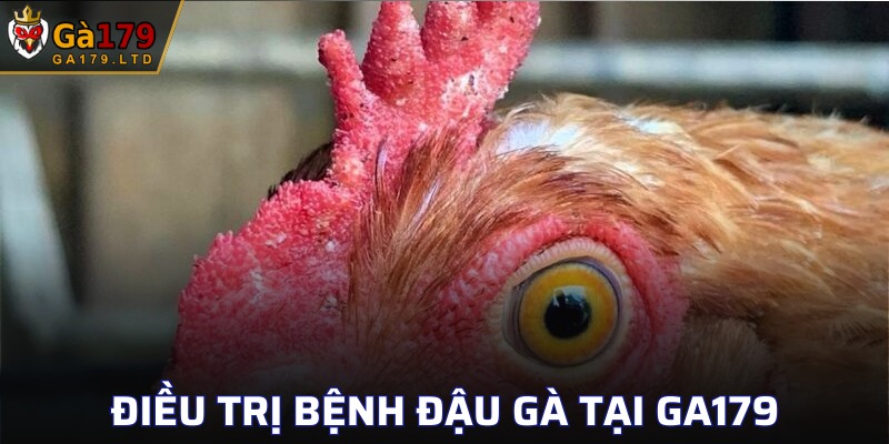Sử dụng các biện pháp ngăn ngừa hữu ích trong phòng bệnh
