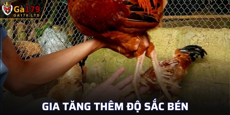 Tạo độ sắc bén gia tăng sức mạnh