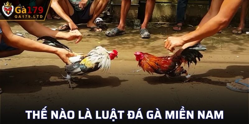 Thế nào là luật đá gà miền Nam