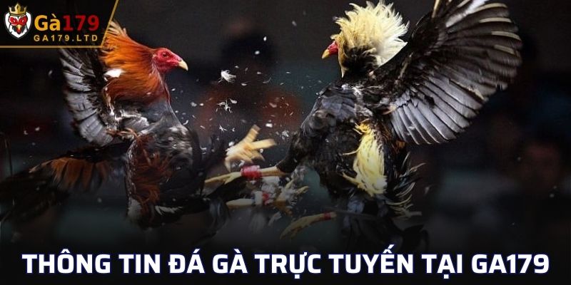 Thông tin về đá gà trực tuyến có tại GA179