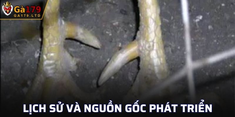 Tìm hiểu lịch sử và sự phát triển