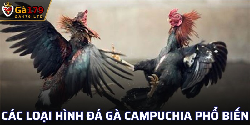 Tổng hợp một số loại hình chọi kê phổ biến hiện nay