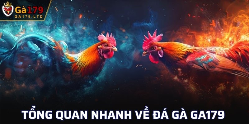 Tổng quan nhanh về đá gà GA179