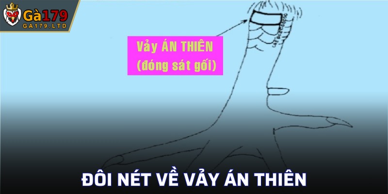 Tổng quan về định nghĩa vảy phong thủy