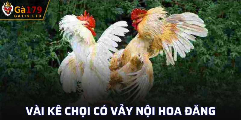 Top giống chiến binh vượt trội có vảy hiếm