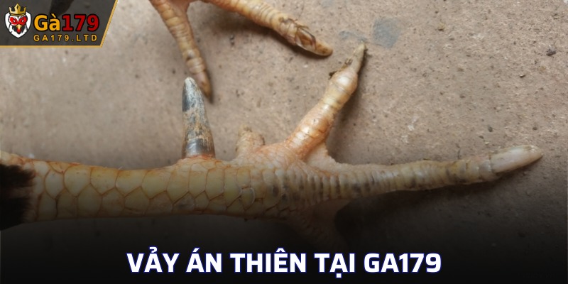 Vảy Án Thiên