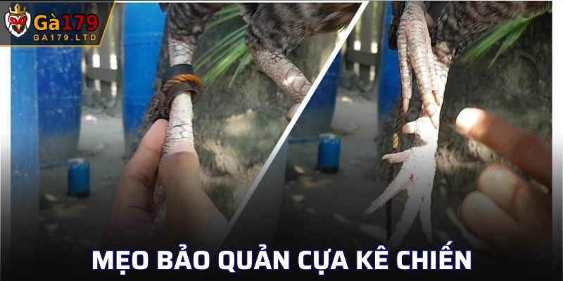 Vệ sinh vũ khí sạch sẽ, kỹ càng tránh bị oxy hóa và rỉ sét
