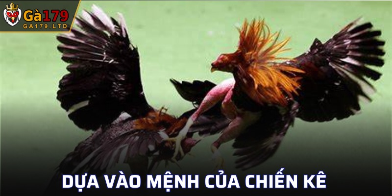 Xác định ngày thi đấu phụ thuộc vào mệnh chiến kê